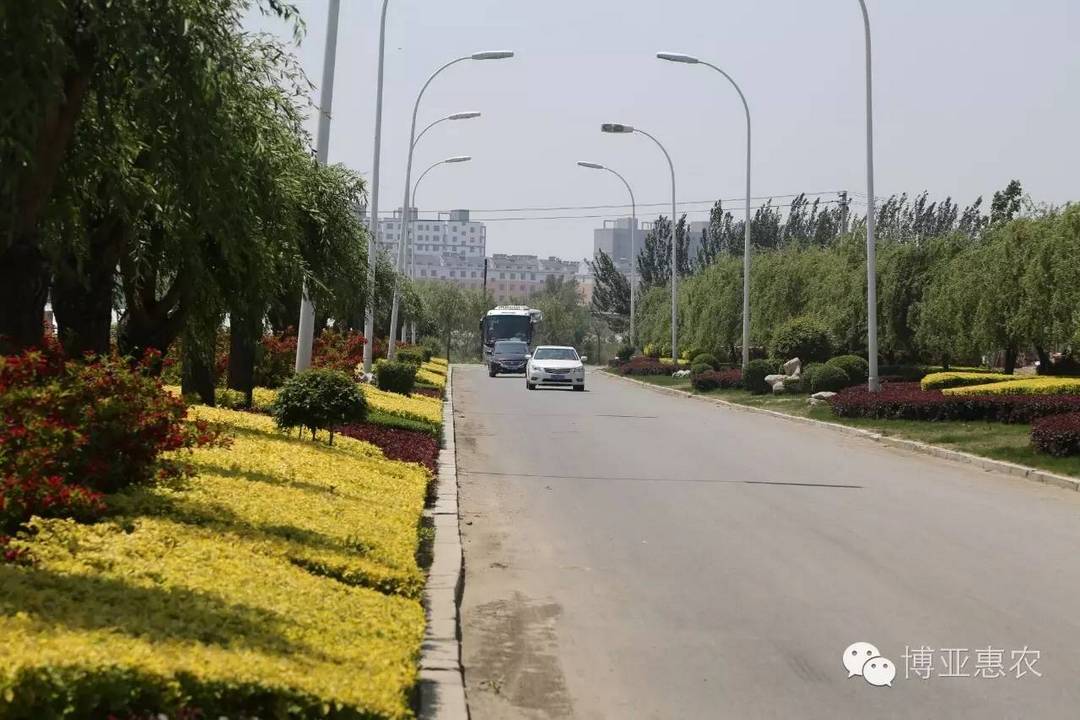 兄弟聚首敘親情 戮力同心話未來