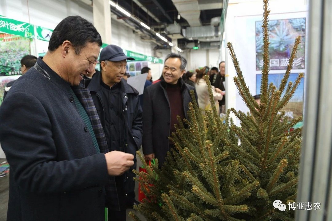 2018東北春季苗木交易會落幕 博亞惠農(nóng)展團(tuán)載譽而