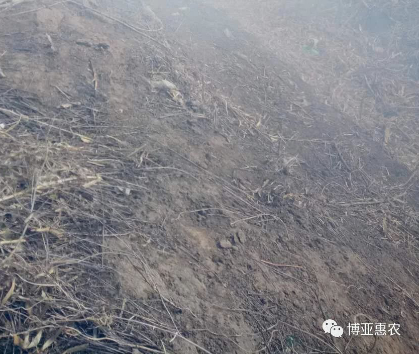 附近村民燒荒引大火 我公司40余名員工奮力撲救