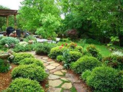 從苗木動(dòng)態(tài)發(fā)展趨勢(shì)洞察行業(yè)發(fā)展先機(jī)！